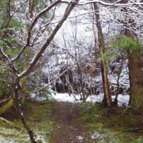 Foyers House - Loch Ness 