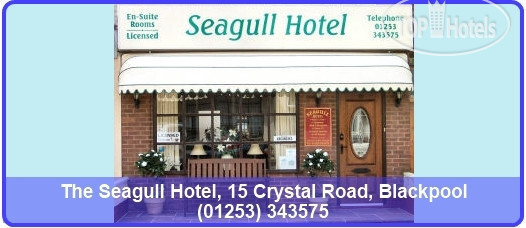 Фотографии отеля  The Seagull Hotel 