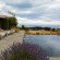 The Farm at Cape Kidnappers 