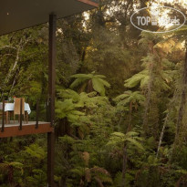 Te Waonui Forest Retreat 