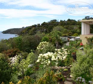 Новые добавленные фото туристов Stewart Island Lodge 4*