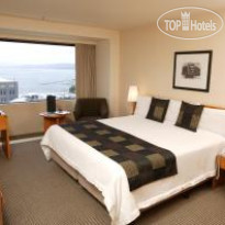 Amora Hotel Wellington 