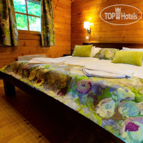 Petnehazy Clubhotel Hotel 