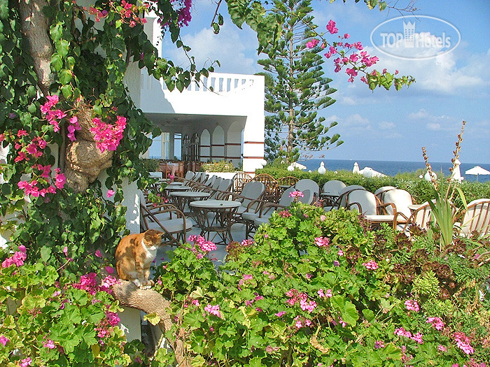 Фото Maritimo Beach Hotel