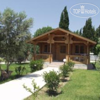 Sandys Studios & Log Villas