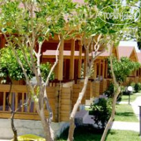 Sandys Studios & Log Villas