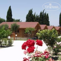 Sandys Studios & Log Villas
