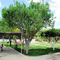 Anna Studios 