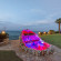 Anemona Beach Hotel 