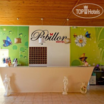 Papillon Hotel 