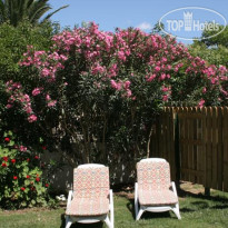 Venus Hotel & Suites