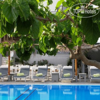 Alia Hotel 