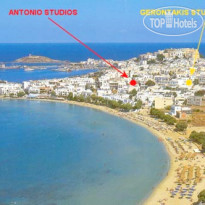 Antonio Studios 