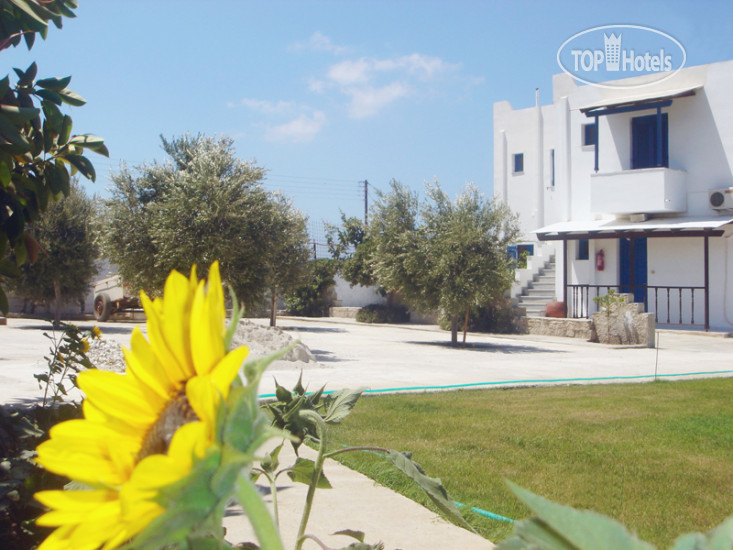 New photos from tourists Akti Kastraki Areti Bungalows