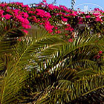 Dionysos Sea Side Resort