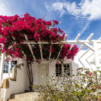 Rhenia Bungalows