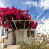 Rhenia Bungalows 