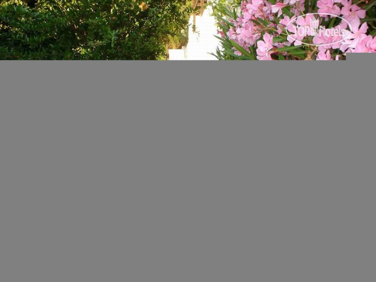 Новые добавленные фото туристов Skiathos Holidays 2*