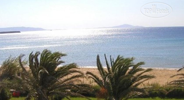 Новые добавленные фото туристов Amaryllis Beach Hotel 2*