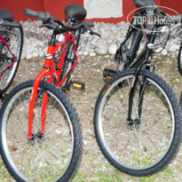 Dendrolivano Прокат велосипедов
