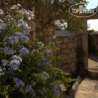 Traditional Houses Irini 