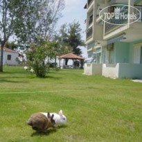 Chrysi Ammoudia Studios 