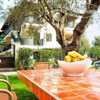 Lemon Garden 