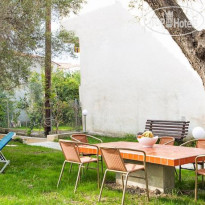 Lemon Garden 