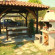 Zisios Studios 