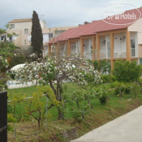 Aggelos Family Hotel 