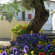 Marilena Hotel 