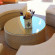 Villa Lilium 