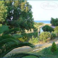 Dennis Beach Studios 
