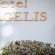 Hotel Agelis Отель