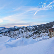 Grand Forest Metsovo 