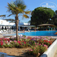 Kalogria Beach Hotel 4*