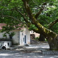 Kaza Guesthouse 