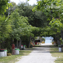 Argolic Strand Camping Drepano 