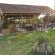 Olympion Village Studios 