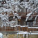 Theasis Guesthouse 