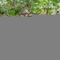 Ritsos Guesthouse