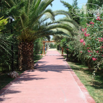 Alkyon Resort Hotel & Spa gardens