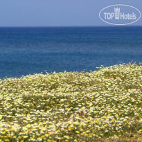 Euroxenia Messina Mare Seaside Hotel 