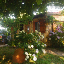 Alekas Studios