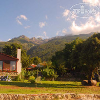 Alekas Studios