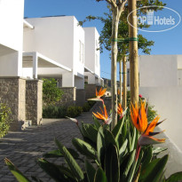 Ammos Hotel