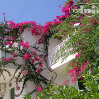 Saradari Apartments