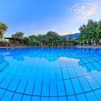 Apollonia Beach Resort & Spa 