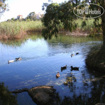 Naiades Almiros River Рядом с отелем