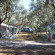 Camping Chania Отель